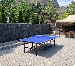 Настольный теннис и пляжный волейбол, Black Inn Dilijan