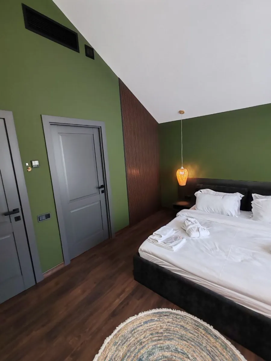 Կանաչ սենյակ, Black Inn Dilijan — լուսանկար 1